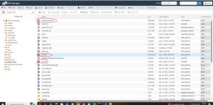 WordPress Website Security Recovery & Malware Removal Case Study 12 faddq4 web designing company